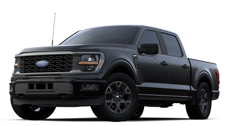 2024 Ford F-150 Vehicle Photo in Terrell, TX 75160